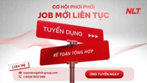 NLT Group tuyển dụng nhân viên Kế toán tổng hợp 