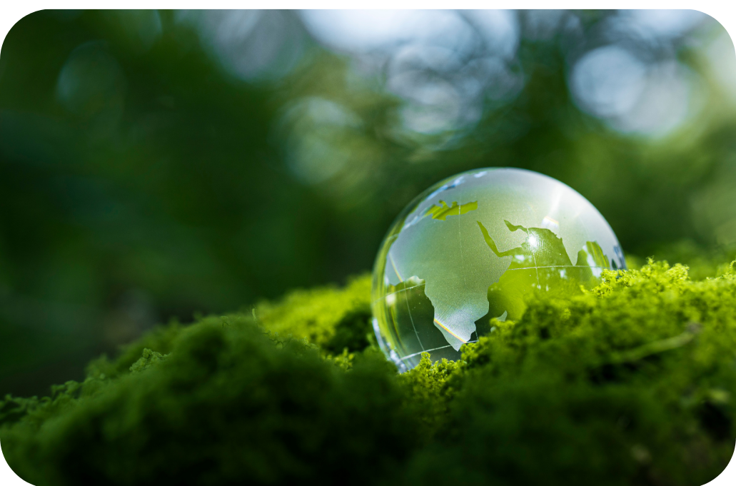 Đơn vị cung vấp giải pháp môi trường thông minh NLT Group