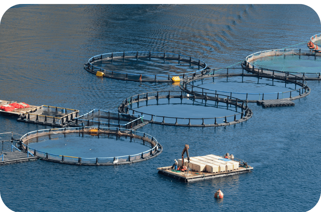 NLT Group – Smart agriculture solutions provider