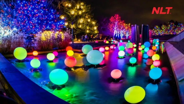 Chiếu sáng công viên có concept rõ ràng giúp mặt nước và cây xanh về đêm vừa nổi bật, vừa tránh chói và rối mắt