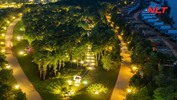 Hệ thống ánh sáng đồng bộ phân lớp rõ ràng giúp kết nối cảnh quan rừng thông và lối dạo trong toàn khu