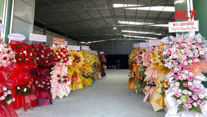 Nhà máy đặt tại Đà Nẵng giúp NLT Group mở rộng năng lực phục vụ miền Trung và hỗ trợ tốt hơn cho các dự án trên toàn quốc, quốc tế
