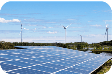 NLT Group đơn vị thi công năng lượng tái tạo số 1 tại Việt Nam