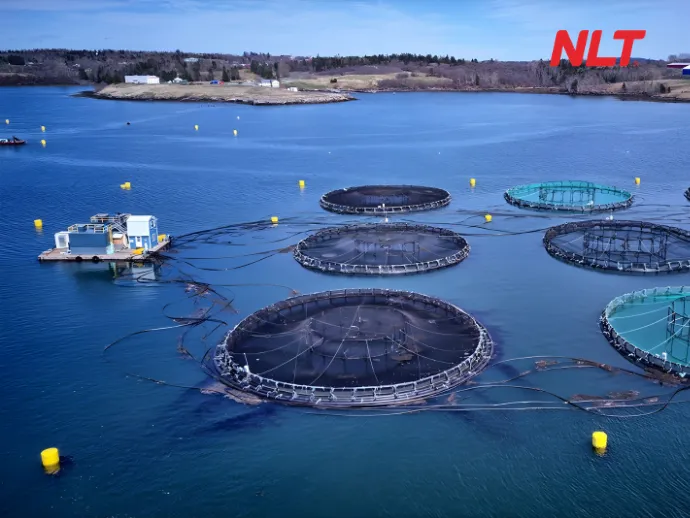 Nuôi trồng thủy sản - NLT Group