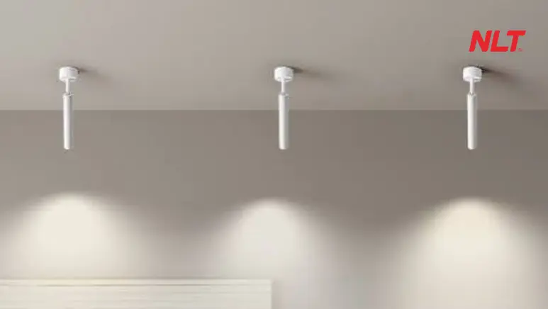 Đèn LED spotlight rọi điểm - công cụ tạo điểm nhấn ánh sáng